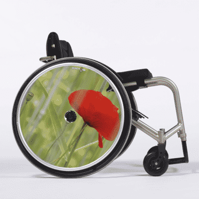 Coquelicot