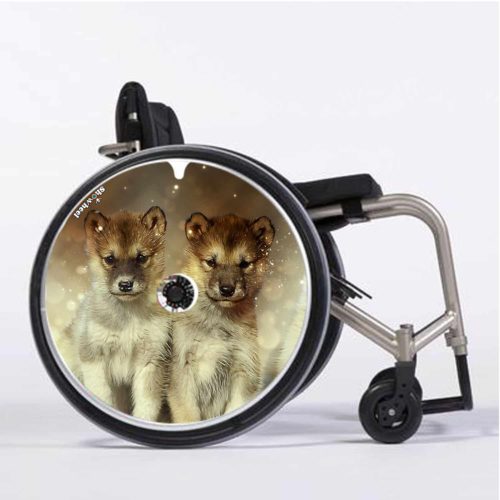 Chiots