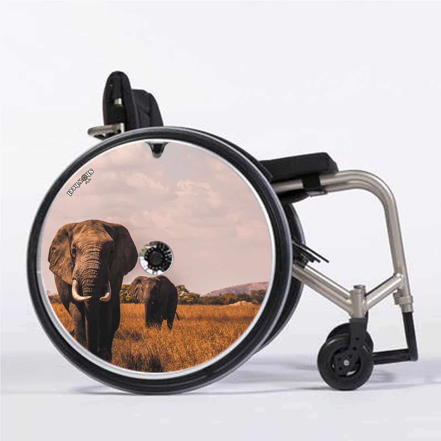 Elephants