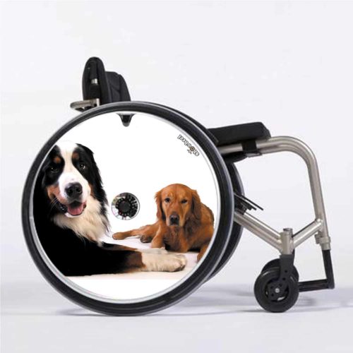 Two dogs