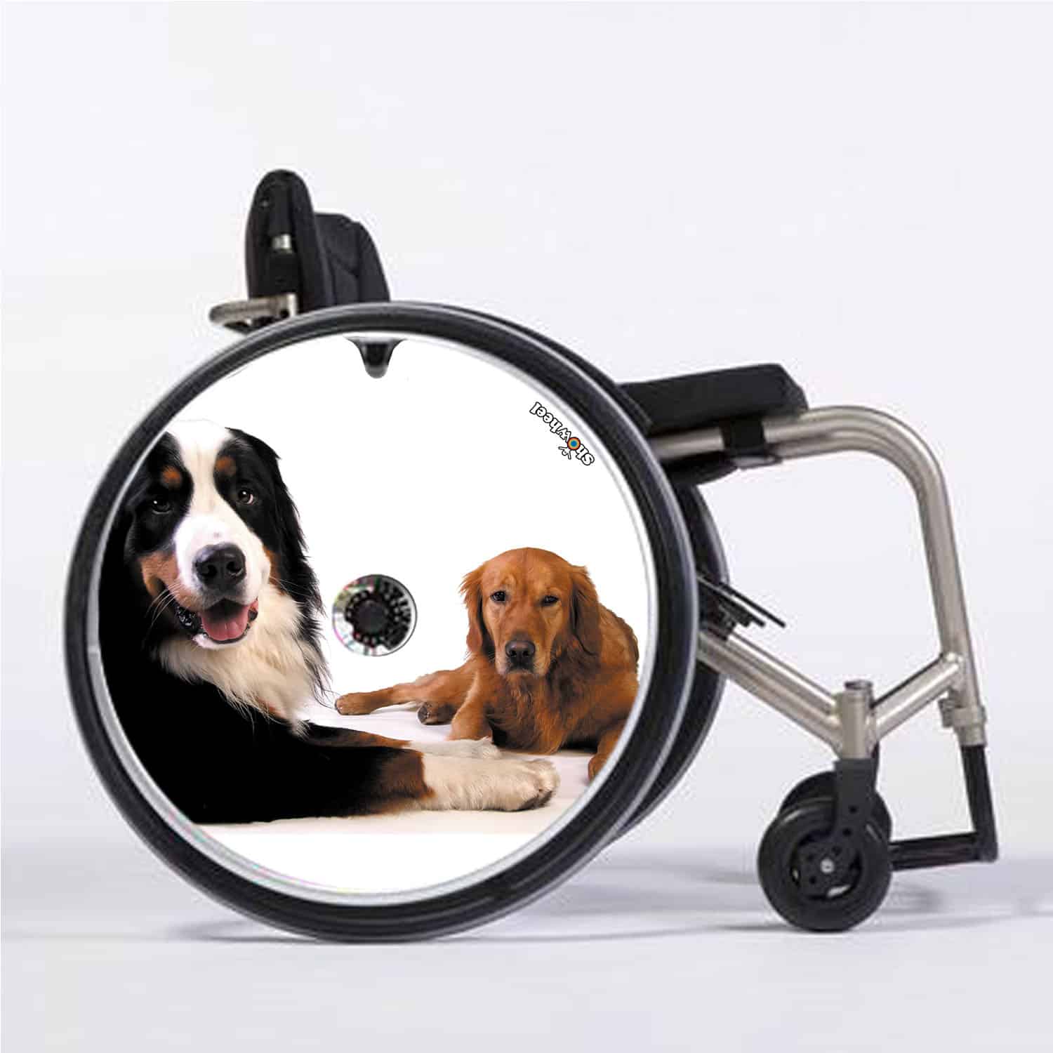 Two dogs