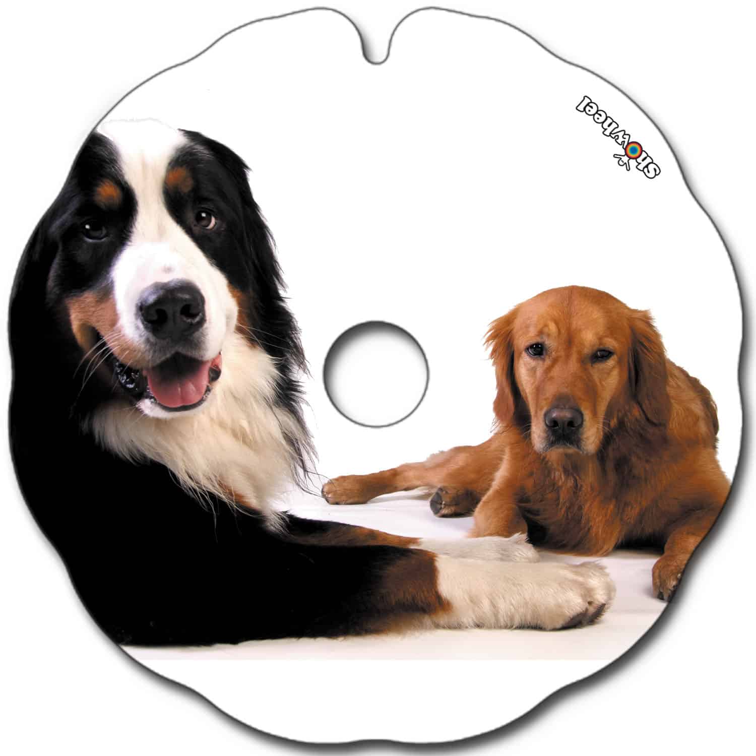 Two dogs – Image 2