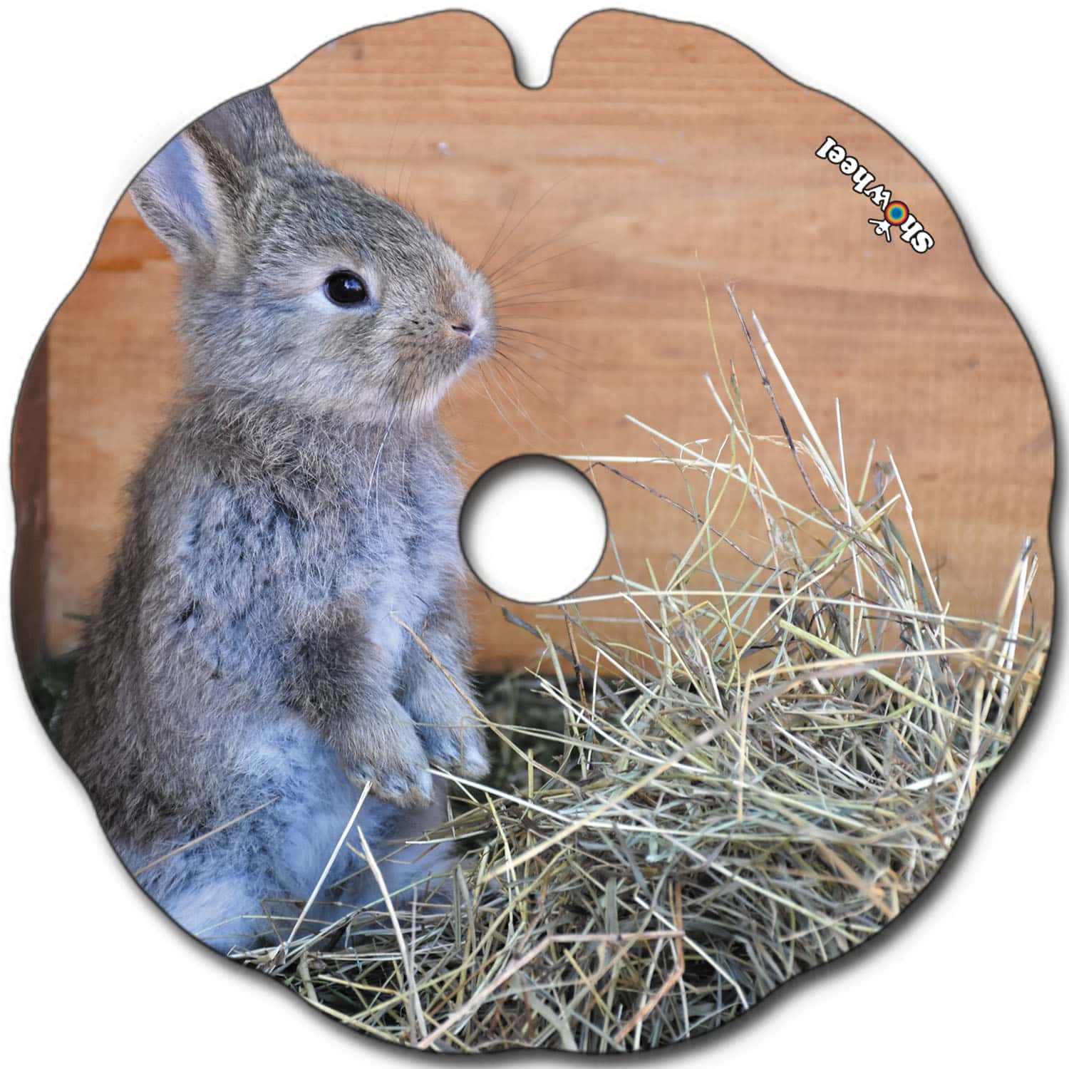 Bunny – Image 2
