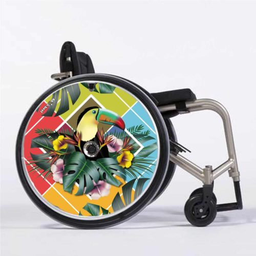 Toucan