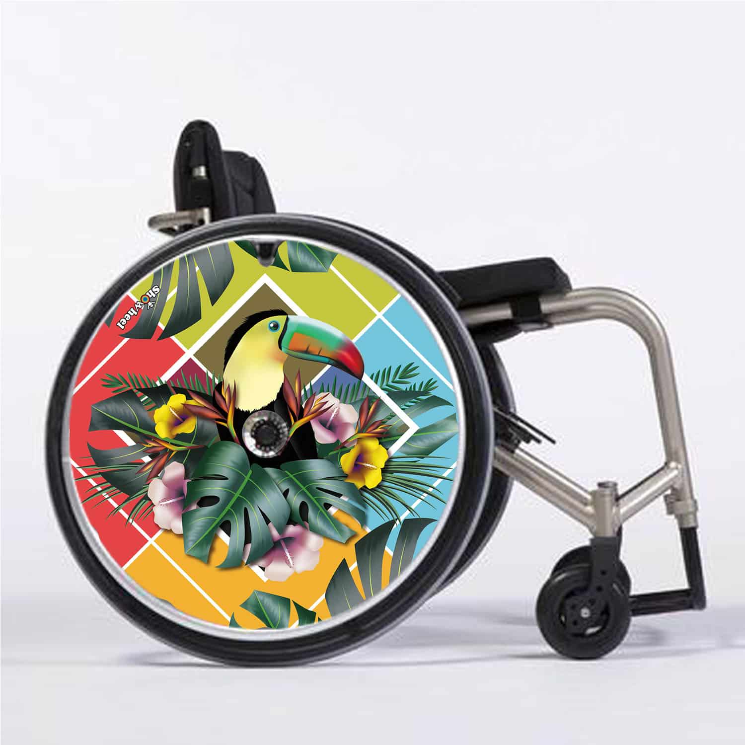 Toucan