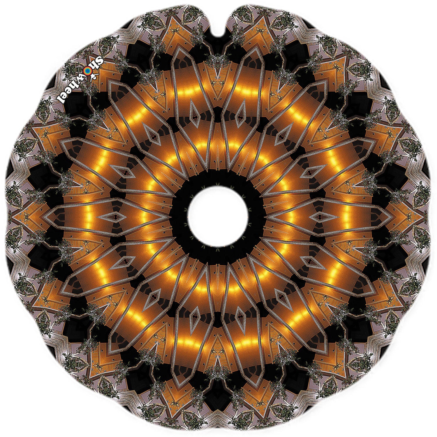 Orange argentée – Image 2