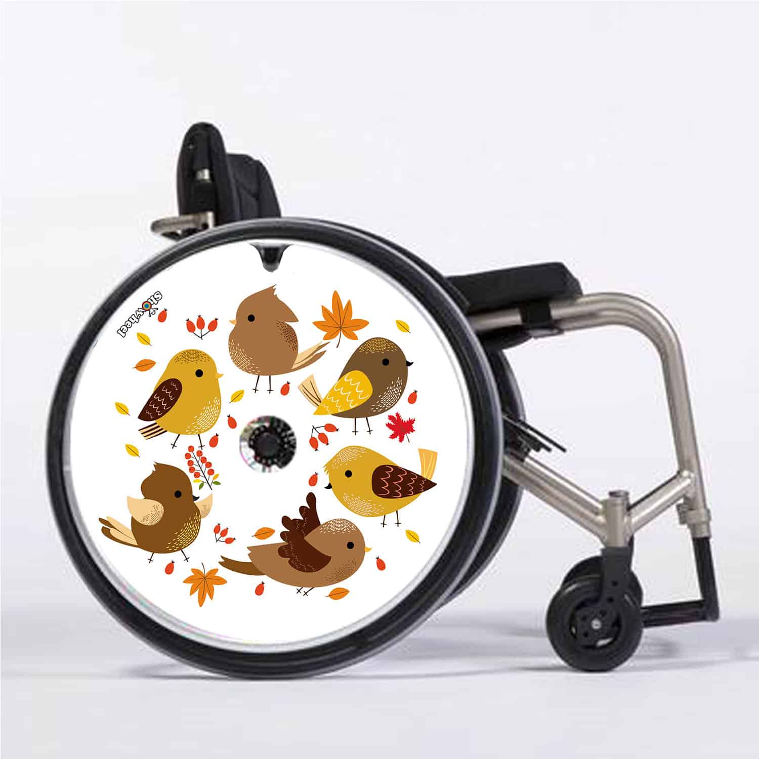 Petits oiseaux