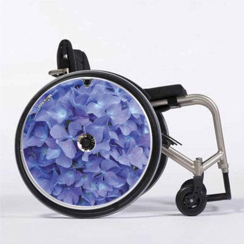 Hortensia ciel