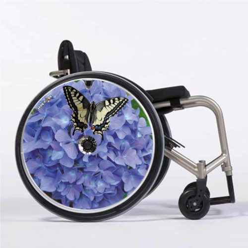 Hortensia papillon