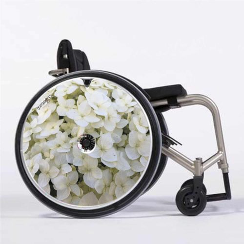 White hydrangea