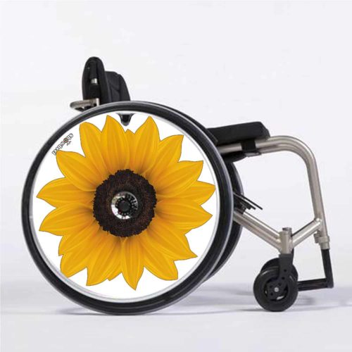 Tournesol blanc