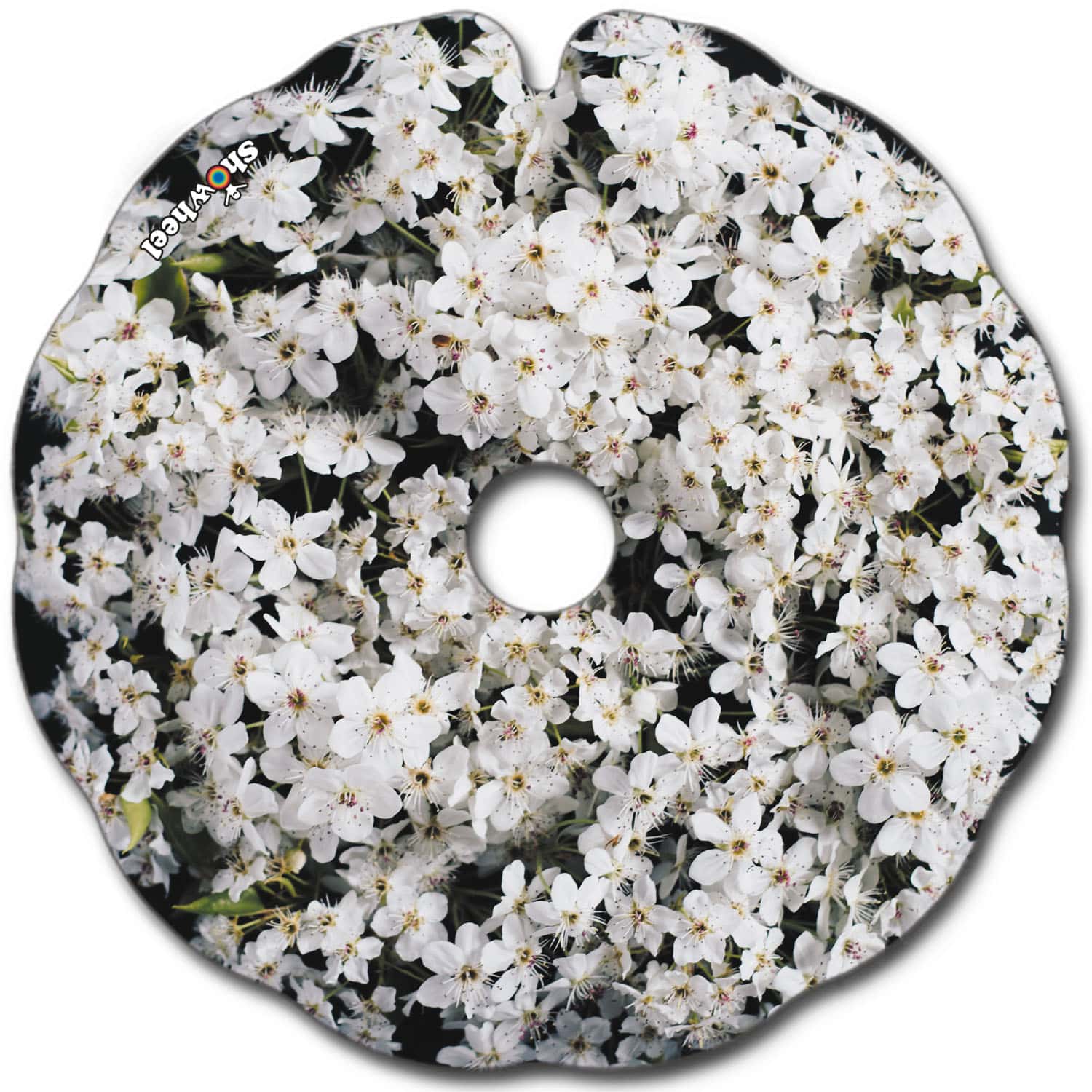 White flowers – Image 2