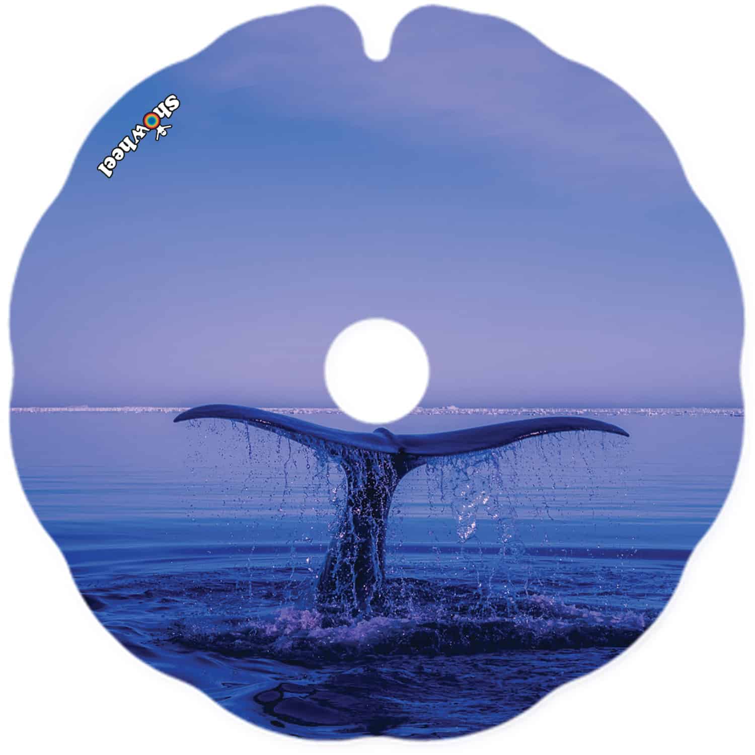 Diving – Image 2