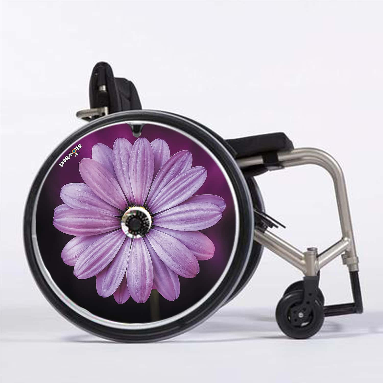 Purple daisy