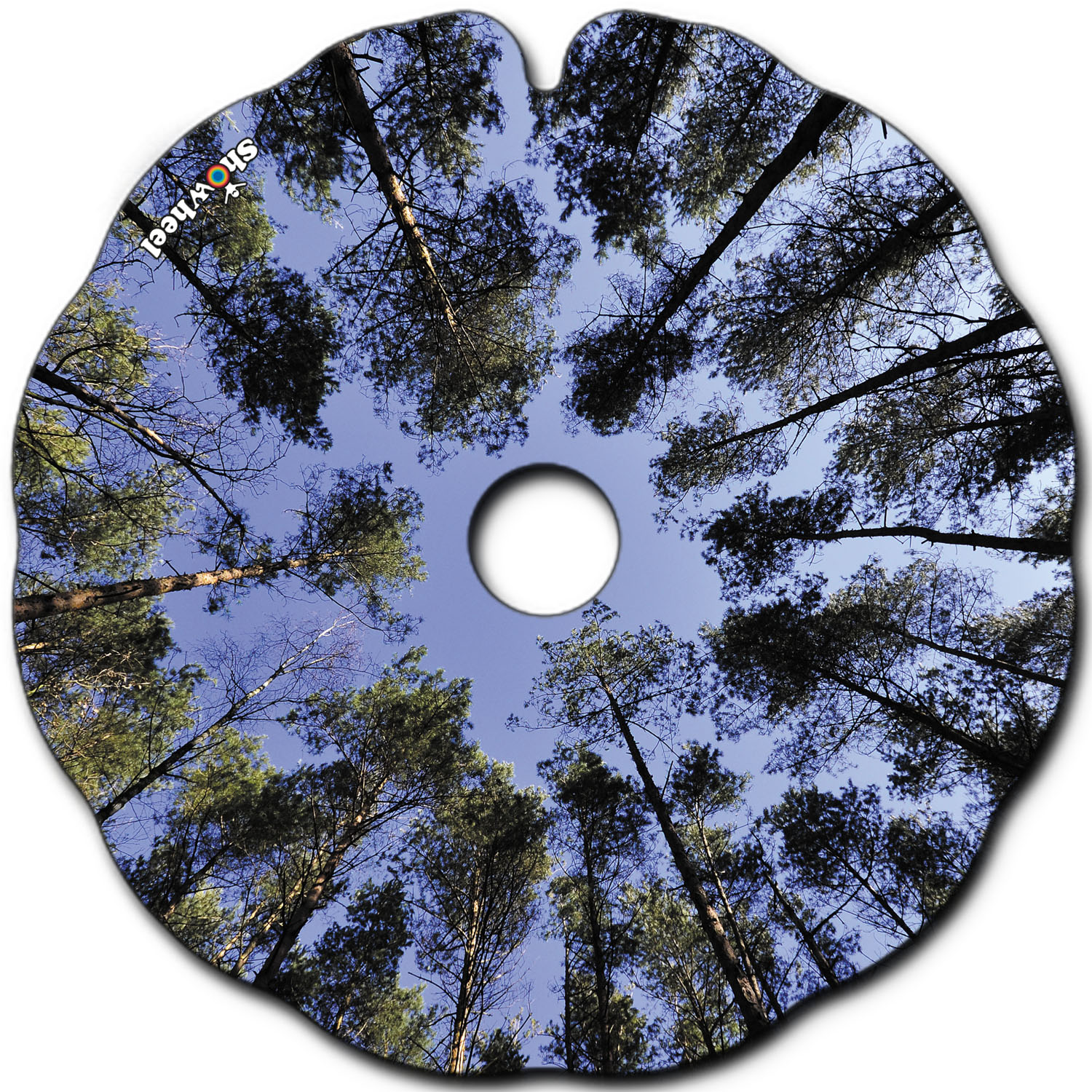 Forêt – Image 2