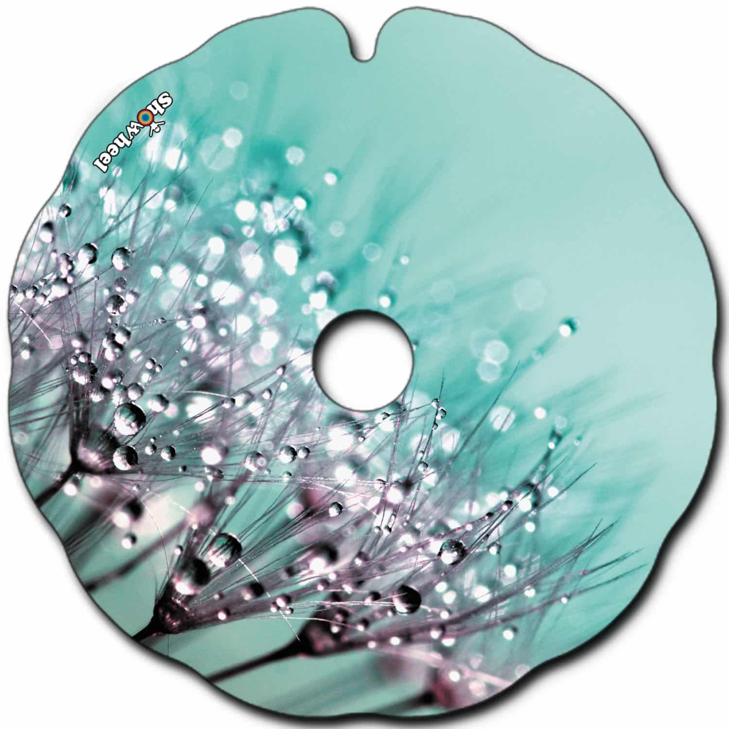 Dandelions – Image 2