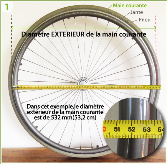 Le loup – Image 4