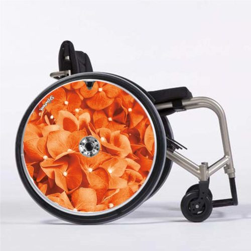 Hortensia orange