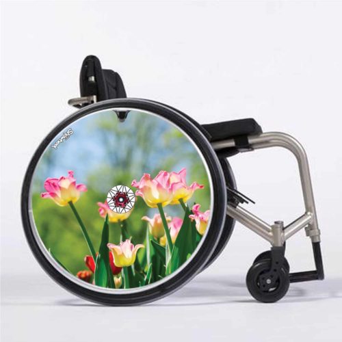 Tulipes