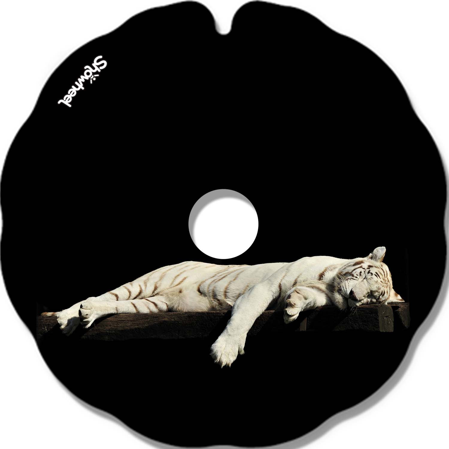 Tigre endormi – Image 2