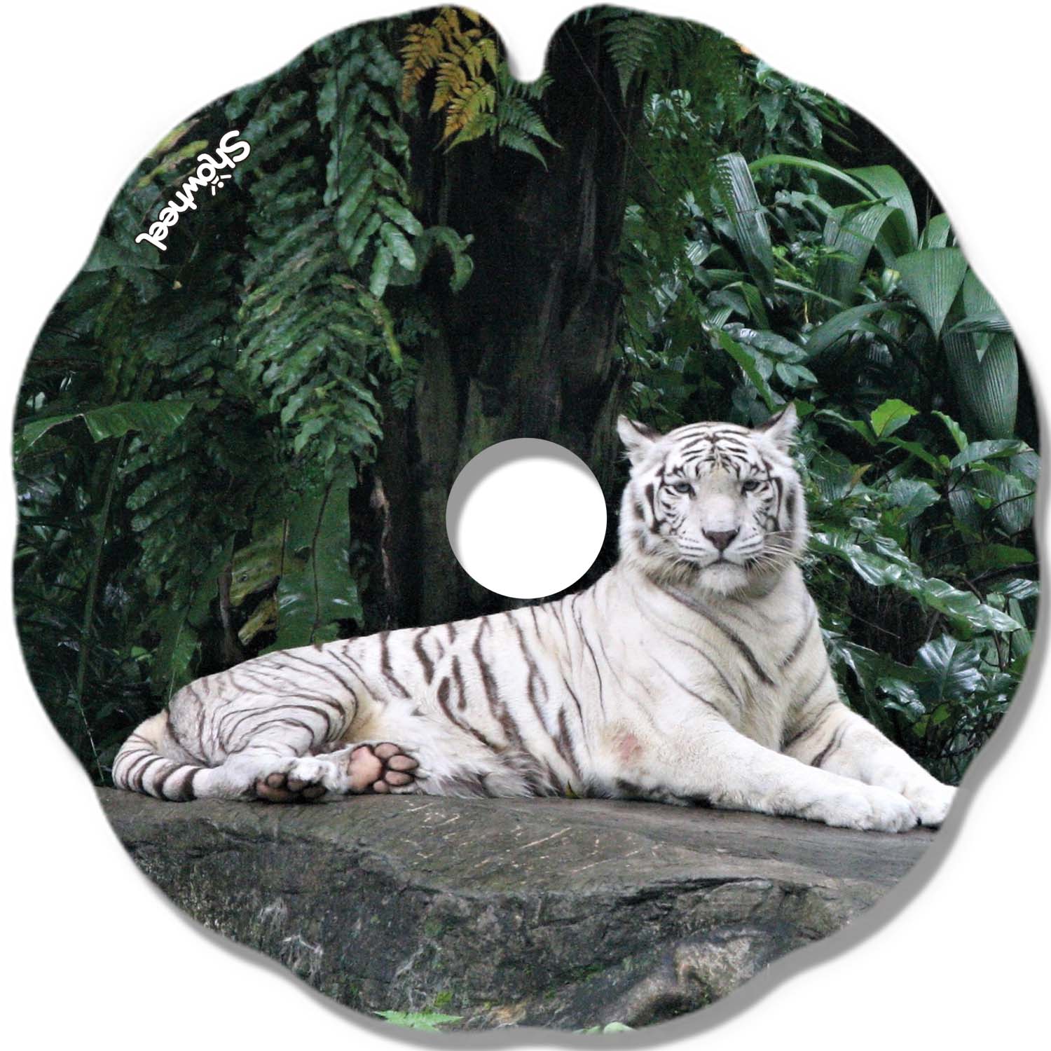 Tigre au repos – Image 2