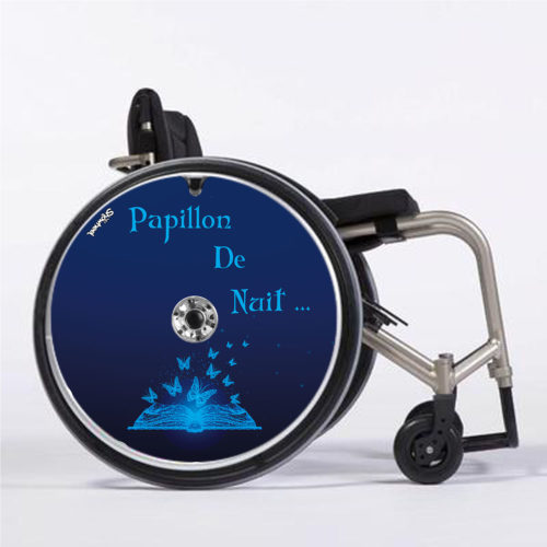 Papillons de nuit