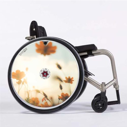 Cosmos automne