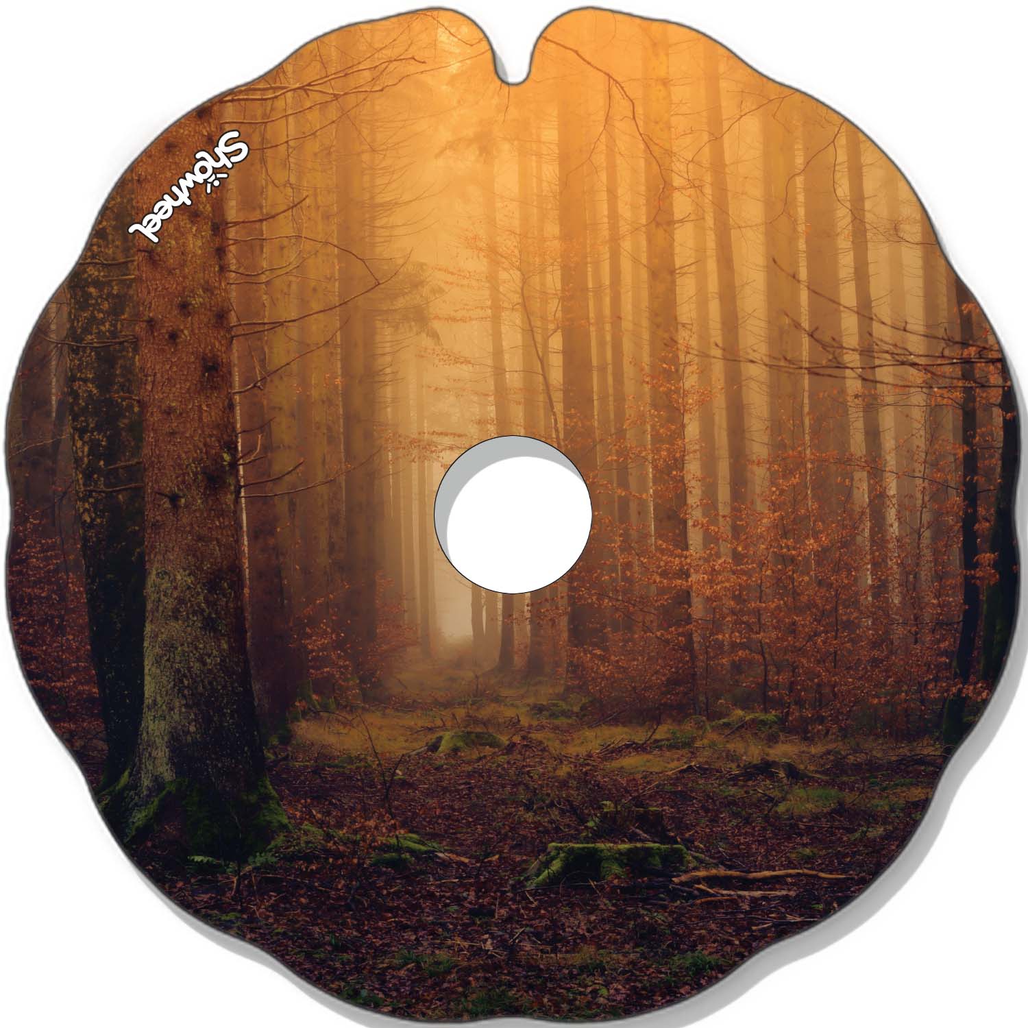 Forêt automne – Image 2