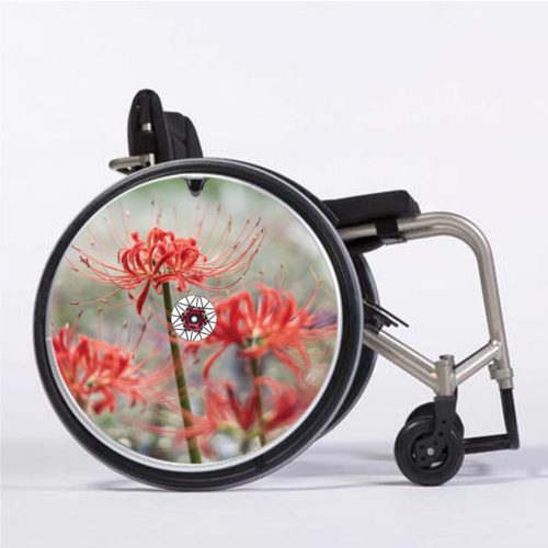Lycoris radiata