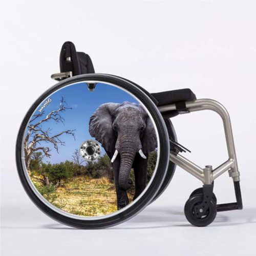 Eléphant