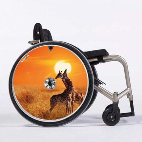 Girafes soleil