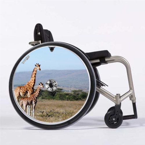 Girafes savane