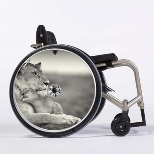 Lion repos