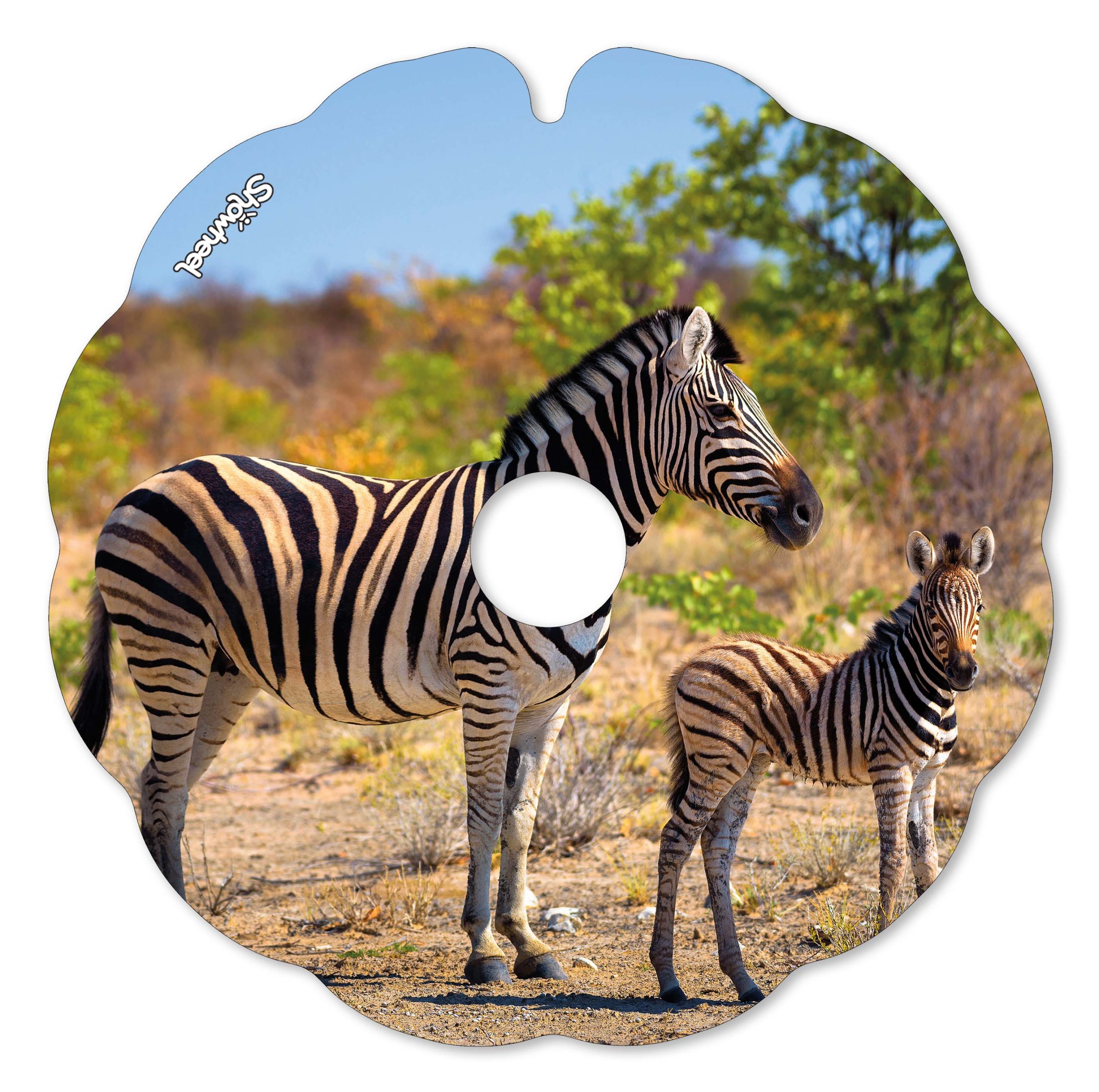 Zèbres Maman et son enfant – Image 2