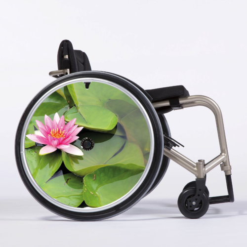 Nénuphar