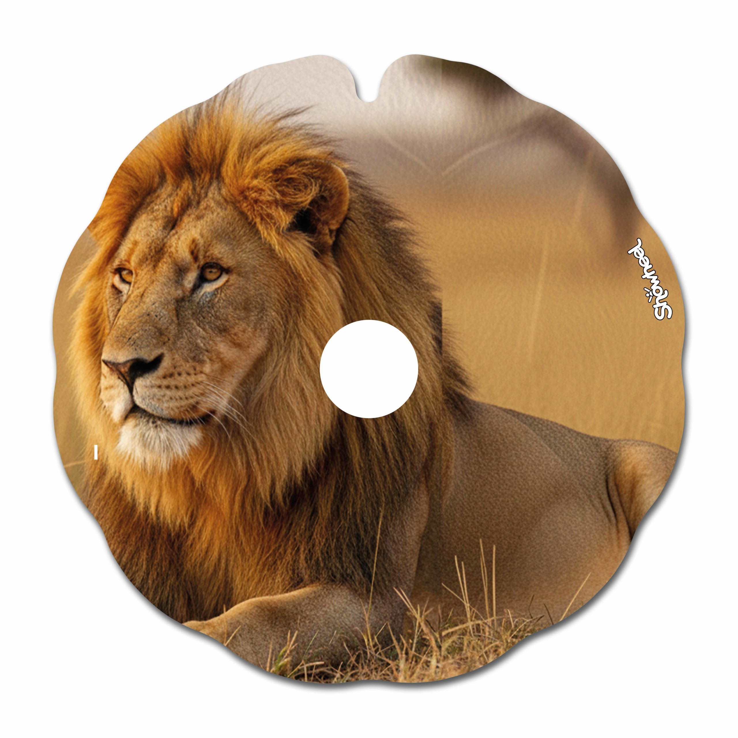 Ani Lion – Image 2