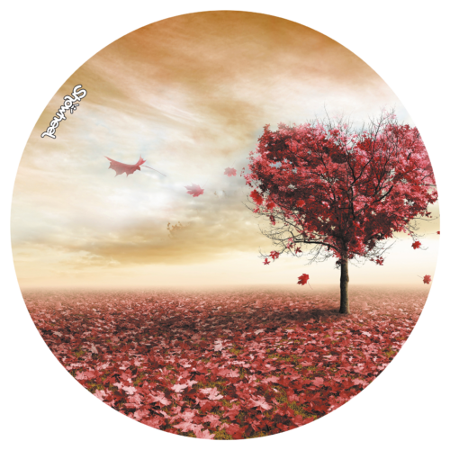 Enjoliveur décoratif pour fauteuil roulant - Arbre coeur